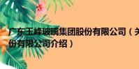 廣東玉峰玻璃集團股份有限公司(關于廣東玉峰玻璃集團股份有限公司介紹)