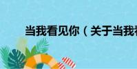 當我看見你(關于當我看見你介紹)