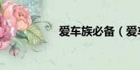 愛車族必備(愛車族)