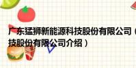 廣東猛獅新能源科技股份有限公司(關于廣東猛獅新能源科技股份有限公司介紹)