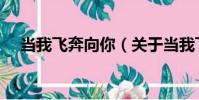 當我飛奔向你(關于當我飛奔向你介紹)
