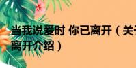 當我說愛時 你已離開(關于當我說愛時 你已離開介紹)