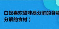 白蟻喜歡甜味易分解的食物(白蟻喜歡甜味易分解的食材)