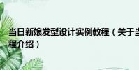 當日新娘發型設計實例教程(關于當日新娘發型設計實例教程介紹)