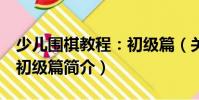 少兒圍棋教程:初級篇(關于少兒圍棋教程:初級篇簡介)