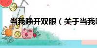 當我睜開雙眼(關于當我睜開雙眼介紹)