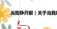 當我睜開眼(關于當我睜開眼介紹)