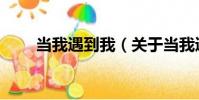 當我遇到我(關于當我遇到我介紹)