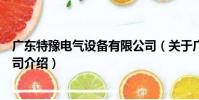 廣東特豫電氣設備有限公司(關于廣東特豫電氣設備有限公司介紹)
