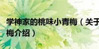 學神家的桃味小青梅(關于學神家的桃味小青梅介紹)