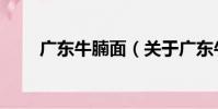 廣東牛腩面(關于廣東牛腩面介紹)