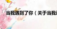 當我遇到了你(關于當我遇到了你介紹)