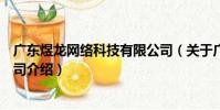 廣東煜龍網絡科技有限公司(關于廣東煜龍網絡科技有限公司介紹)