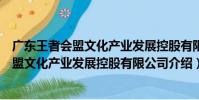 廣東王者會盟文化產業發展控股有限公司(關于廣東王者會盟文化產業發展控股有限公司介紹)