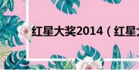 紅星大獎2014(紅星大獎2009)