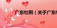 廣東牡荊(關于廣東牡荊介紹)
