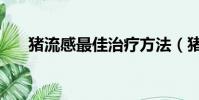 豬流感最佳治療方法(豬流感死亡率)