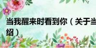 當我醒來時看到你(關于當我醒來時看到你介紹)