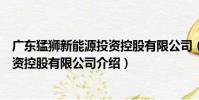 廣東猛獅新能源投資控股有限公司(關于廣東猛獅新能源投資控股有限公司介紹)