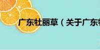廣東牡麗草(關于廣東牡麗草介紹)