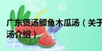 廣東煲湯鯽魚木瓜湯(關于廣東煲湯鯽魚木瓜湯介紹)