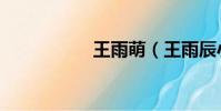王雨萌(王雨辰小說)