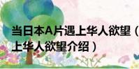 當日本A片遇上華人欲望(關于當日本A片遇上華人欲望介紹)