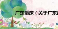 廣東爵床(關于廣東爵床介紹)