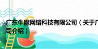 廣東牛魔網絡科技有限公司(關于廣東牛魔網絡科技有限公司介紹)