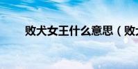 敗犬女王什么意思(敗犬女王優酷)