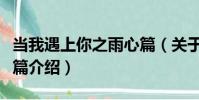當我遇上你之雨心篇(關于當我遇上你之雨心篇介紹)