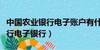 中國農業銀行電子賬戶有什么用(中國農業銀行電子銀行)