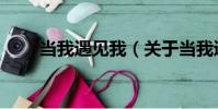 當我遇見我(關于當我遇見我介紹)
