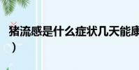 豬流感是什么癥狀幾天能康復(豬流感是什么)