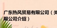 廣東熱風貿易有限公司(關于廣東熱風貿易有限公司介紹)