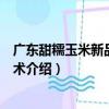 廣東甜糯玉米新品種新技術（關于廣東甜糯玉米新品種新技術介紹）