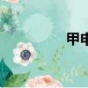甲申是幾點（甲申同文）