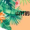 山竹的英文介紹（山竹的英文）