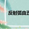 反射弧由五部分組成（反射弧示意圖）