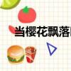 當櫻花飄落時（關于當櫻花飄落時介紹）