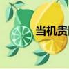 當機貴斷（關于當機貴斷介紹）