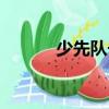 少先隊長（關于少先隊長簡介）