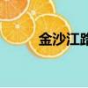 金沙江路執法（金沙江路棗陽路）