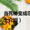 當死神變成忍足侑士（關于當死神變成忍足侑士介紹）