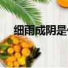 細雨成陰是什么節日（細雨成陰近夕陽）