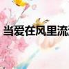 當愛在風里流浪（關于當愛在風里流浪介紹）