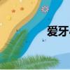 愛牙小報模板（愛牙小報）