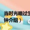當時光略過生命的鐘（關于當時光略過生命的鐘介紹）