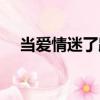 當愛情迷了路（關于當愛情迷了路介紹）