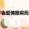 當愛情擦肩而過（關于當愛情擦肩而過介紹）